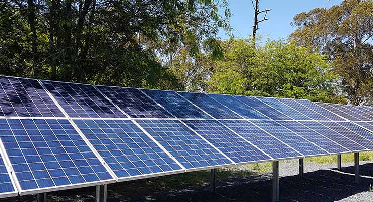 trees shading solar panel