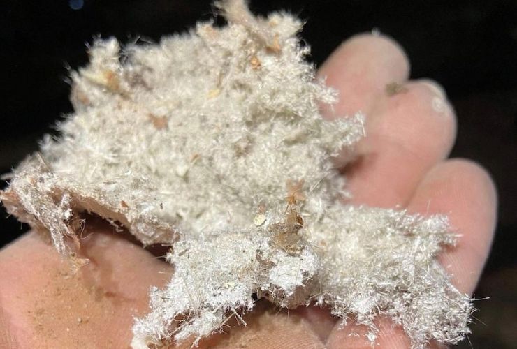 asbestos from insulation in someones hand