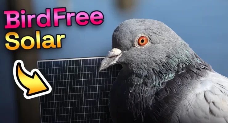 bird proofing solar panels