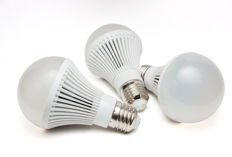 light bulbs on plain white background