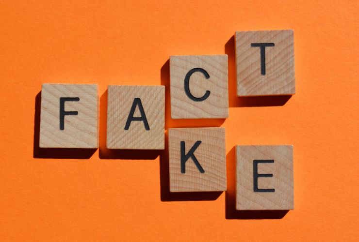 fact or fake word plate