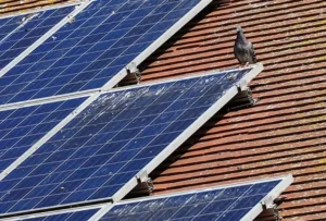 dirty solar panels