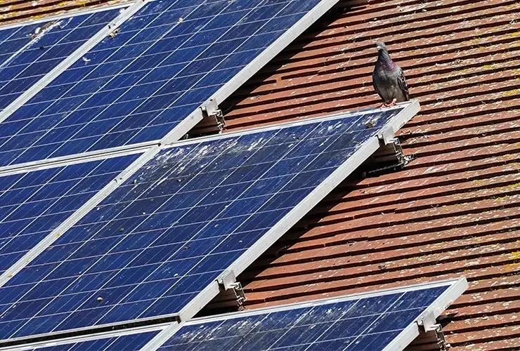 dirty solar panels