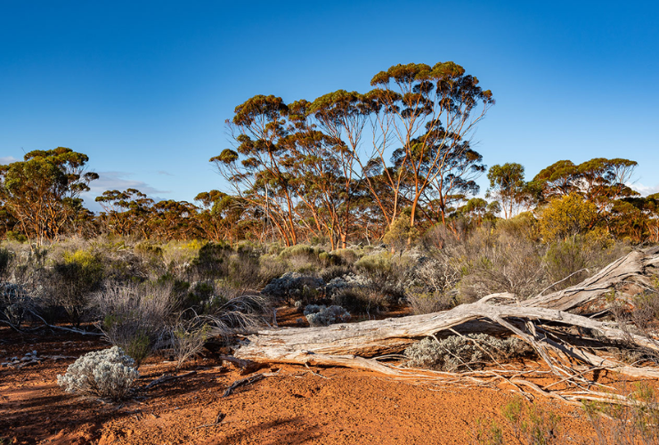 inland australia