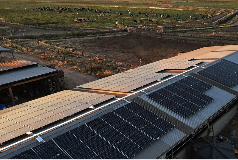 Hypalyte Electrical and Solar