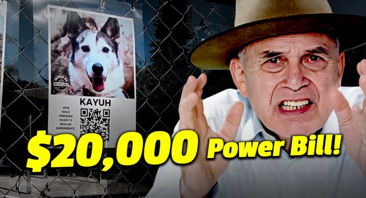 monikas doggie rescue