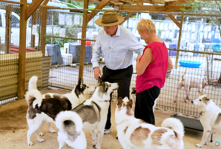 markus lambert and dogs