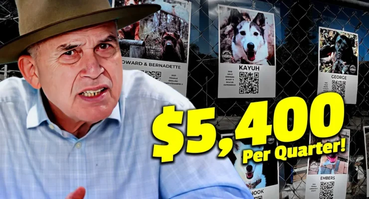 markus lambert thumbnail