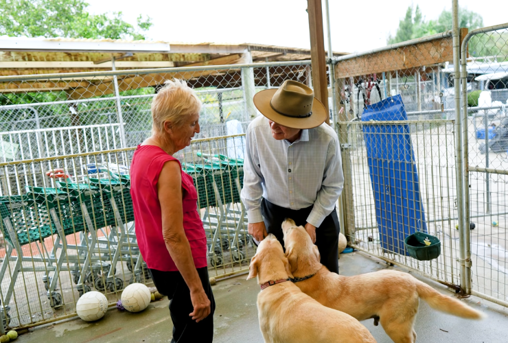 monikas doggie rescue