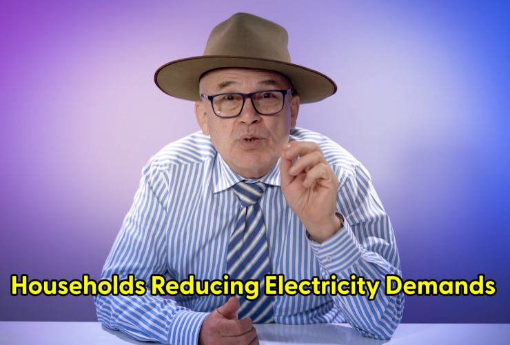 markus lambert speaking about 5 dollar grid connection fee