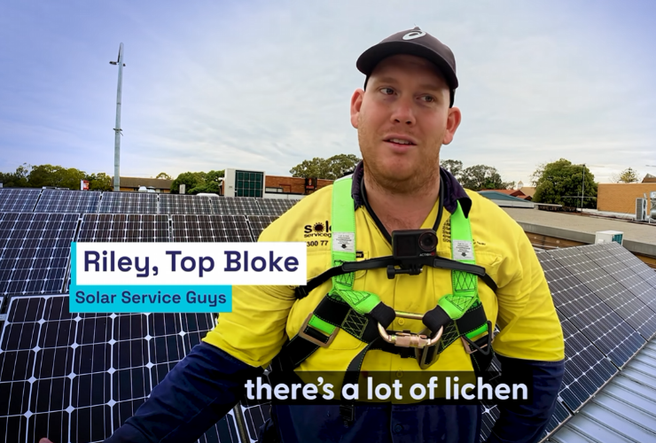 riley from solar service guys